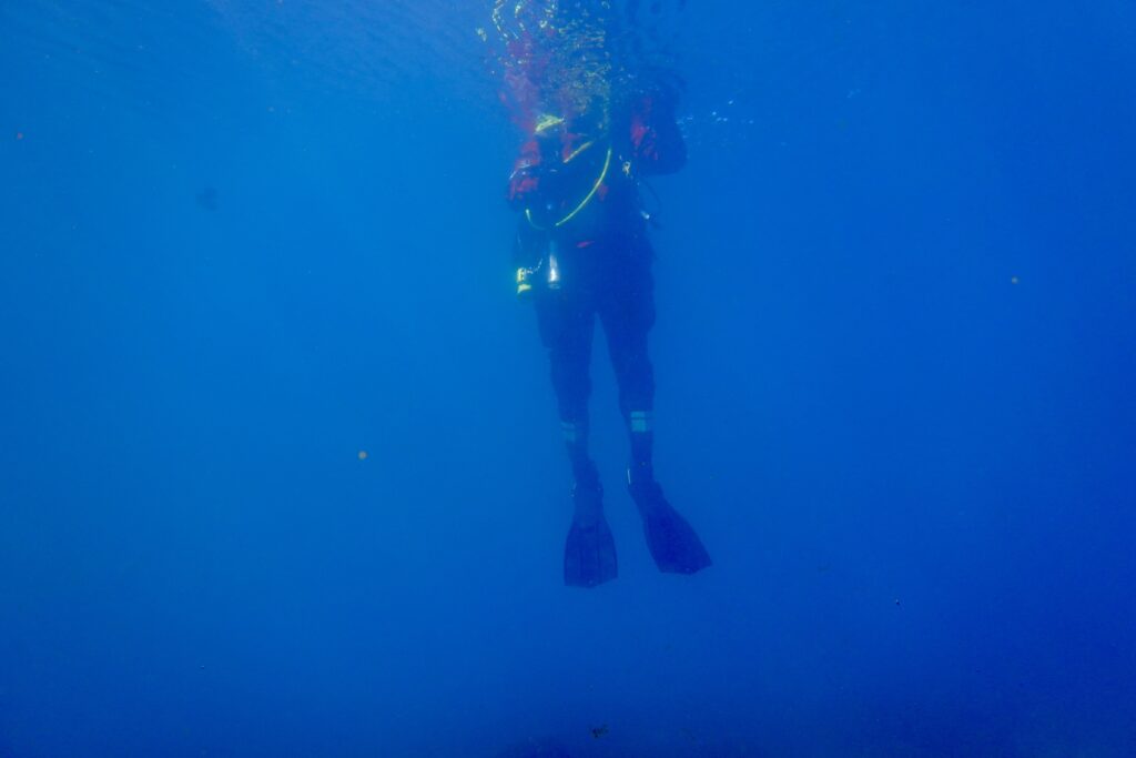 Búkurinn á kafara í sjónum. Haus og herðar sjást ekki.